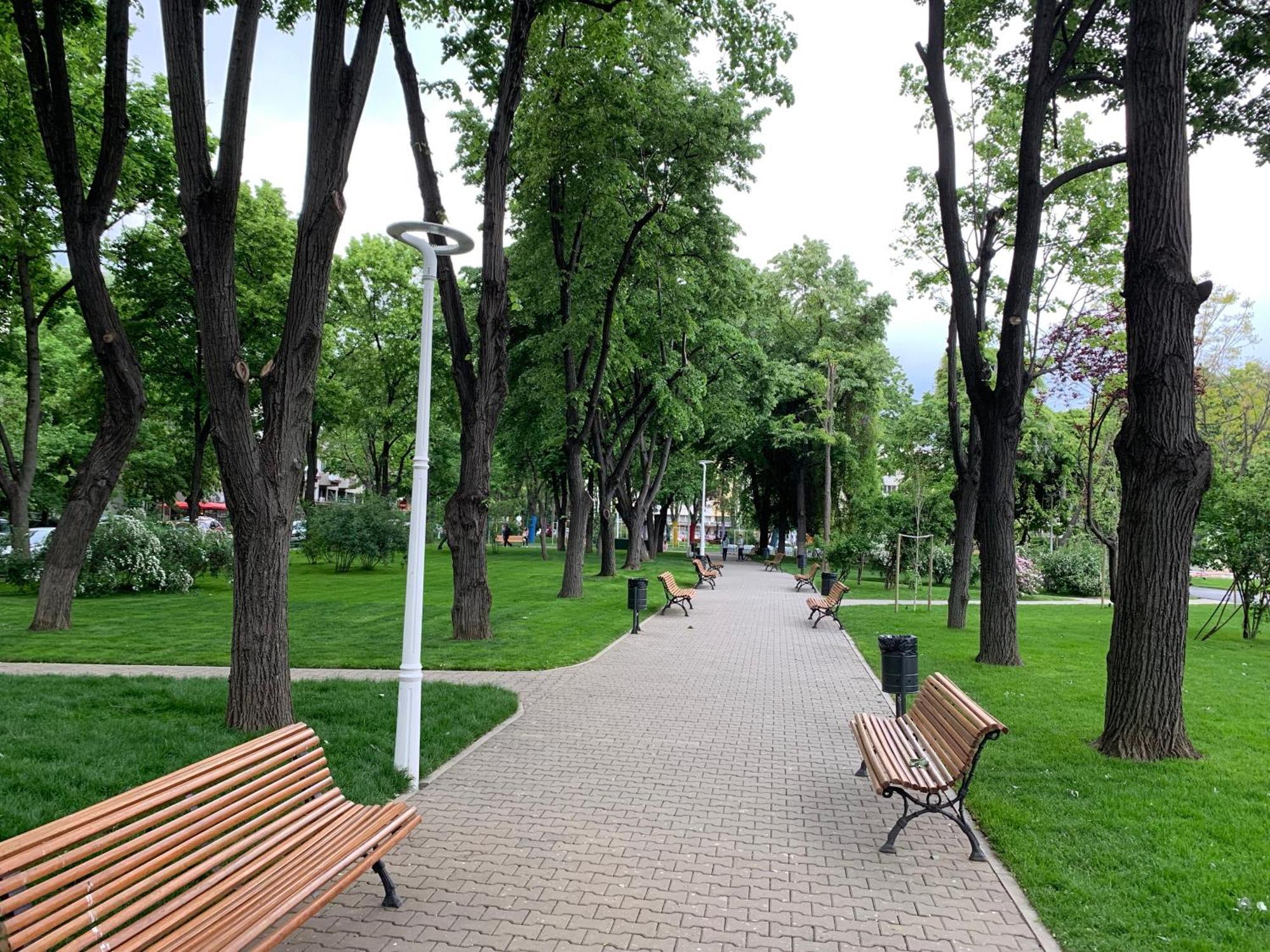 Floreasca Apartment Bach Бухарест Экстерьер фото