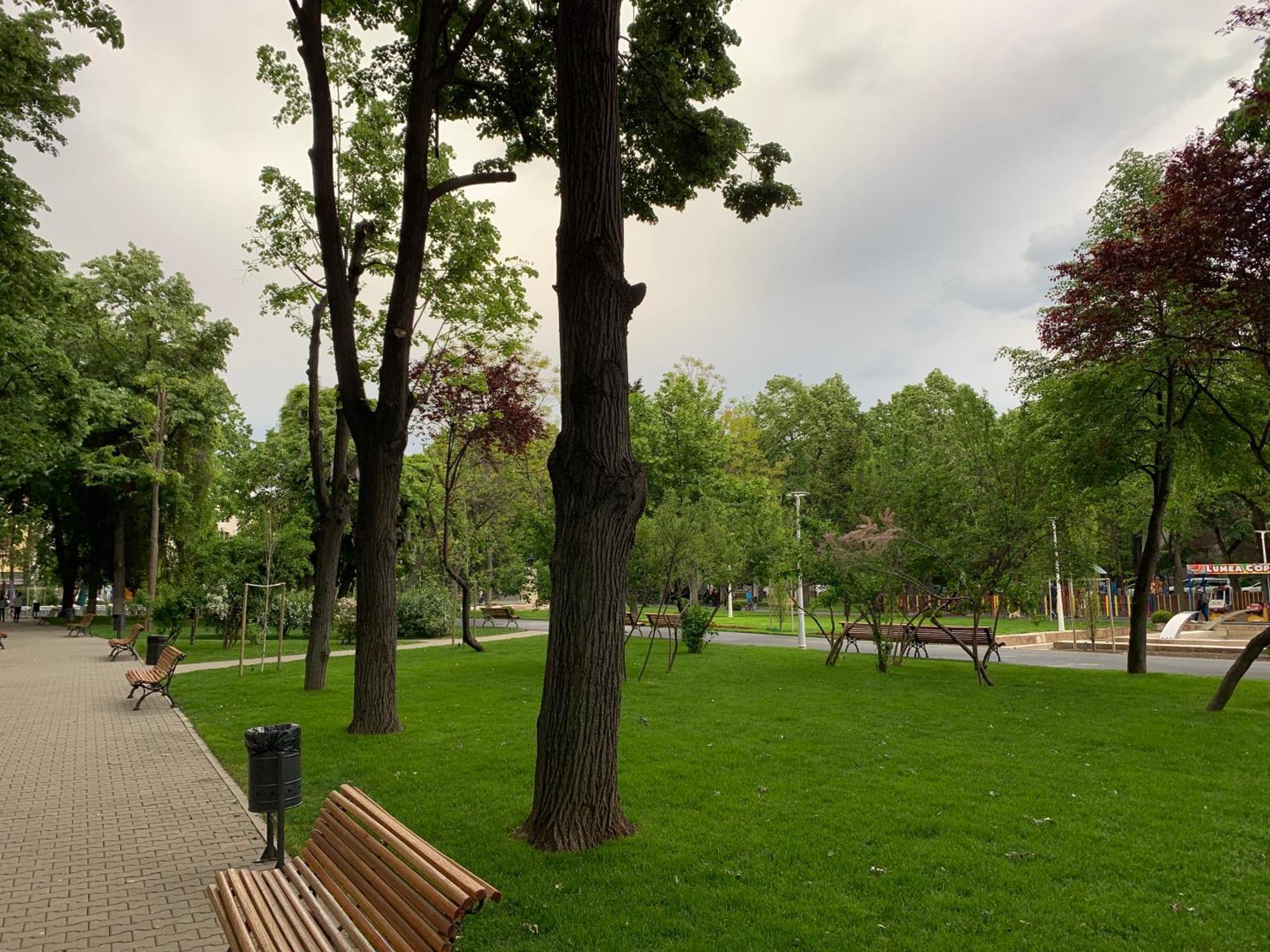 Floreasca Apartment Bach Бухарест Экстерьер фото
